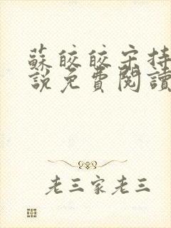 苏皎皎宋持的小说免费阅读