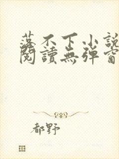 落不下小说免费阅读无弹窗