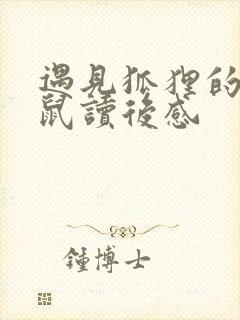 遇见狐狸的小老鼠读后感