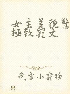 女主美貌惊艳到极致宠文