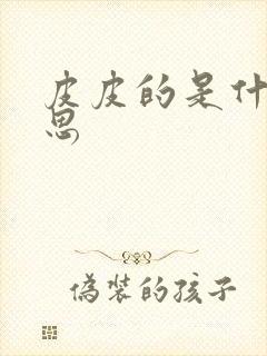 皮皮的是什么意思