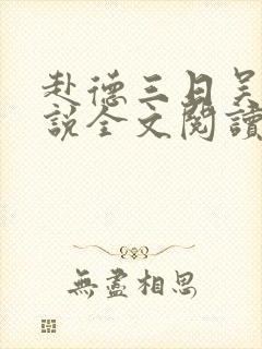 赴德三日吴敏小说全文阅读