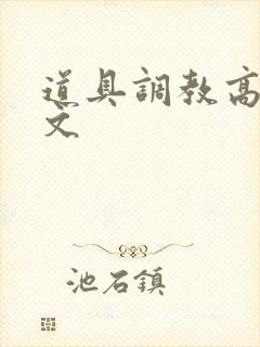 道具调教高h污文封面