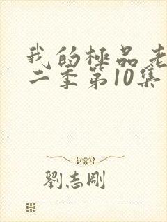 我的极品老婆第二季第10集