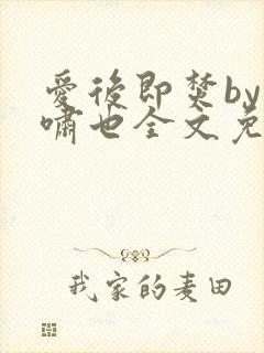 爱后即焚by林啸也全文免费阅读笔趣阁封面