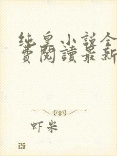 纯皇小说全文免费阅读最新章节封面