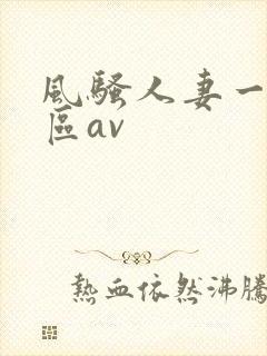 风骚人妻一区二区av