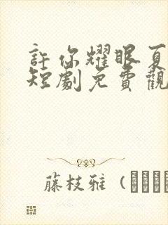 许你耀眼夏晴子短剧免费观看全集