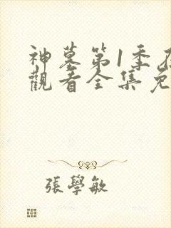 神墓第1季在线观看全集免费高清