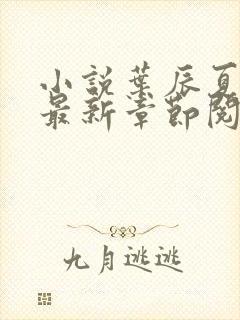 小说叶辰夏若雪最新章节阅读