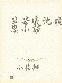 宁若曦沈砚舟黎思小说