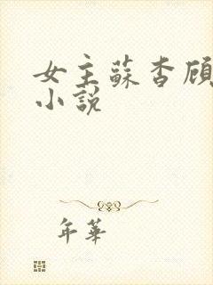 女主苏杳顾君亦小说封面