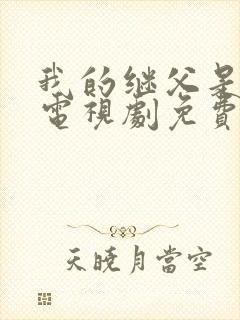 我的继父是偶像电视剧免费观看全集