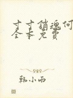 寸寸销魂何生祥全本免费