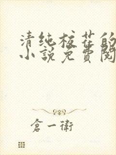 清纯校花的秘密小说免费阅读