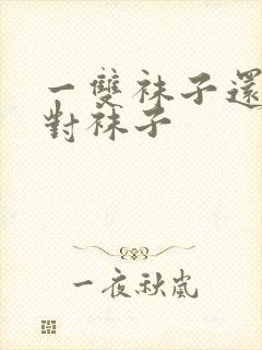 一双袜子还是一对袜子