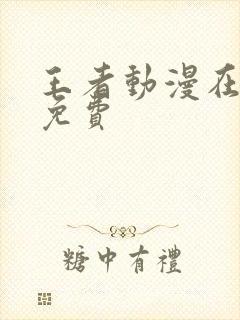 王者动漫在线看免费