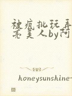 被疯批玩弄的漂亮美人by阿回