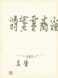 鸿途奇才小说陆羽免费阅读