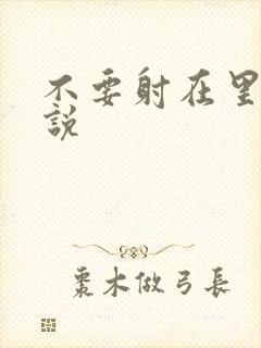 不要射在里面小说