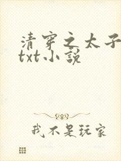 清穿之太子娇妃txt小说