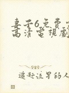 妻子6免费完整高清电视剧在线