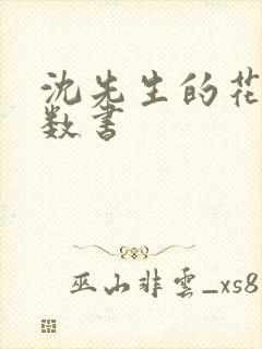 沈先生的花式调数书