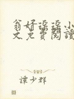 翁婿瑶瑶小说全文免费阅读最新章节封面