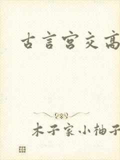 古言宫交高h