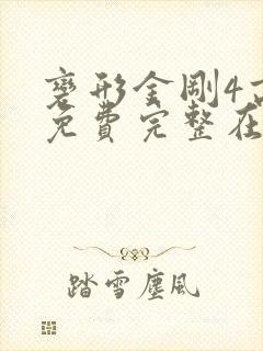 变形金刚4高清免费完整在线观看封面