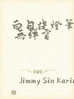 白日提灯笔趣阁 无弹窗封面