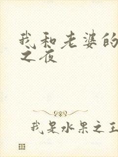 我和老婆的新婚之夜