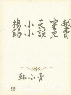 杨小天穿越武魂的小说免费阅读无弹窗