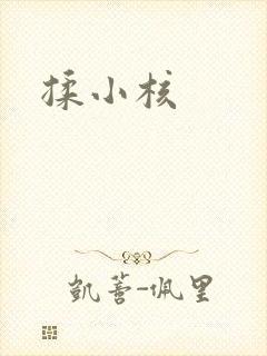 揉小核封面
