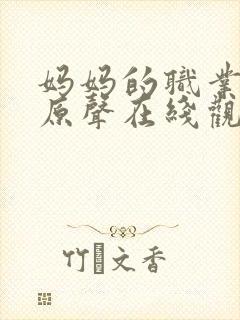 妈妈的职业韩剧原声在线观看免费高清封面