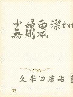 少妇白洁txt无删减封面