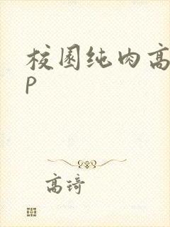 校园纯肉高hnp