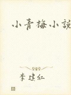 小青梅小说