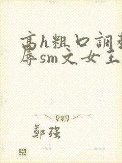 高h粗口调教羞辱sm文女王