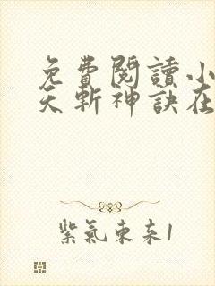 免费阅读小说九天斩神诀在线阅读全文