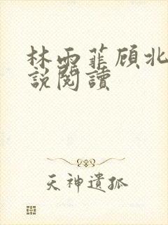 林雨菲顾北潇小说阅读