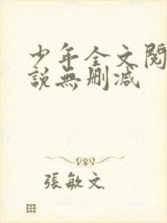 少年全文阅读小说无删减