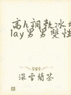 高h调教冰块play男男双性文