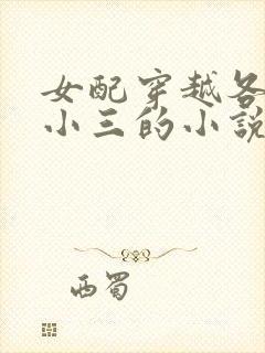 女配穿越各个做小三的小说