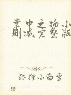 掌中之物小说未删减完整版封面