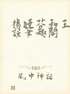 杨晓芬和王磊小说笔趣阁