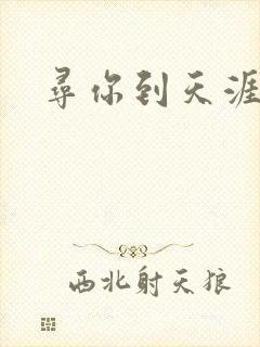寻你到天涯
