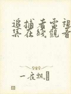 追捕者电视剧全集在线观看免费高清