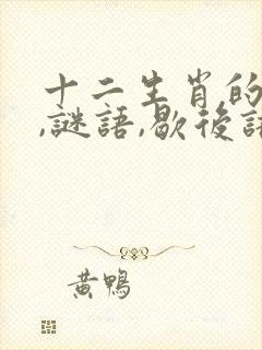 十二生肖的典故,谜语,歇后语大全