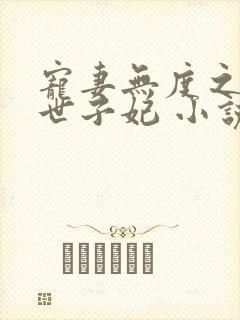 宠妻无度之腹黑世子妃 小说封面